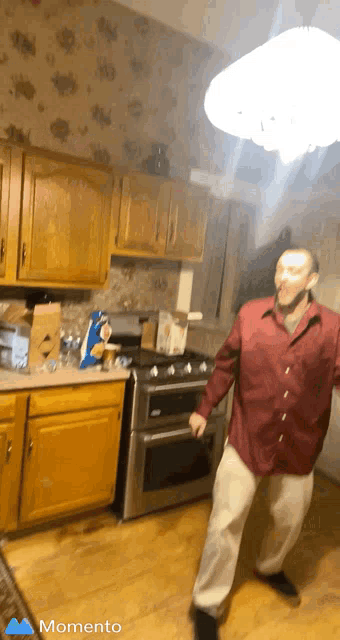 Squirt Facial GIF