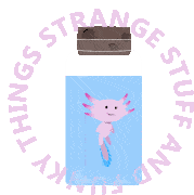 Ssaft Strange Stuff And Funky Things Sticker