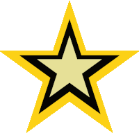 Ssne Star Sticker