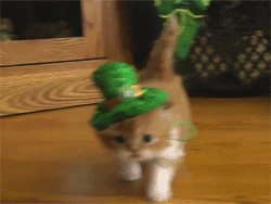 St Patrick GIF