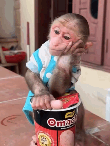 Stan Twitter Monkey Meme GIF