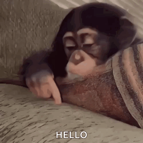 Stan Twitter Monkey GIF