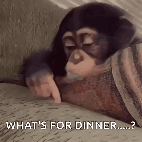 Stan Twitter Monkey GIF