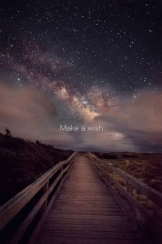 Star Night GIF