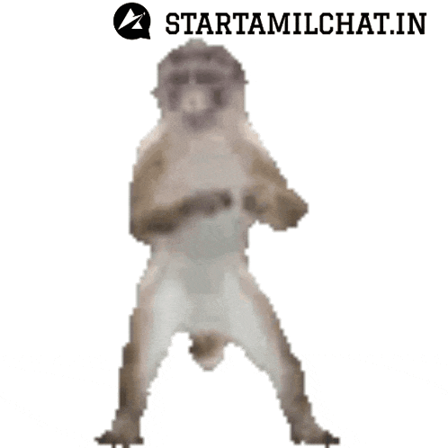 Star Tamil Chat Sanjay Chat GIF