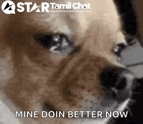 Star Tamil Chat Sanjay Chat GIF