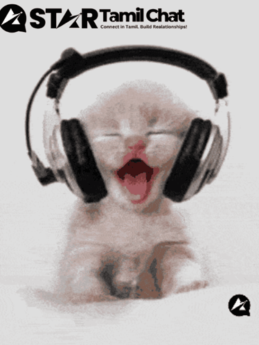 Star Tamil Chat Sanjay Chat GIF