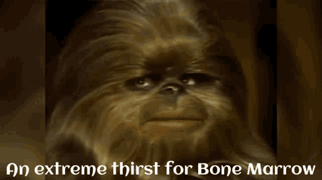 Star Wars Holiday Bone Marrow GIF