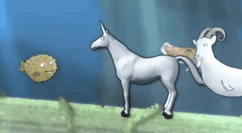 Starfish Charlie The Unicorn GIF