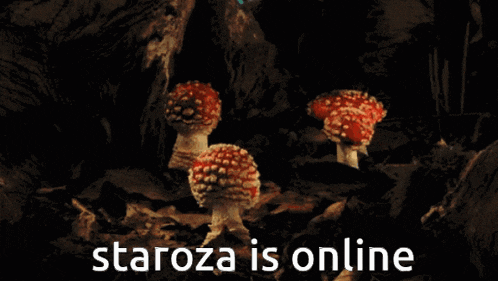 Staroza Is Online GIF