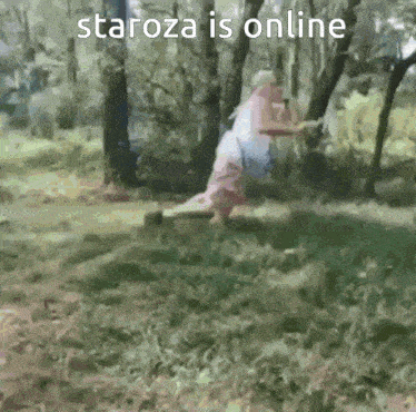 Staroza Is Online GIF
