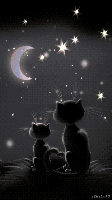 Starry Night Moon GIF