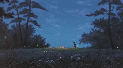 Starry Night Starlight GIF. This 498 x 278 animated GIF is part of our the strangers prey at night collection. Related themes include gif. Created by…