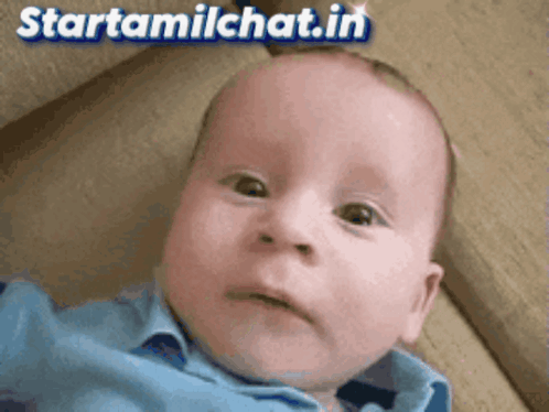 Startamilchat Sanjay Chat GIF