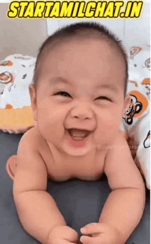 Startamilchat Sanjay Chat GIF