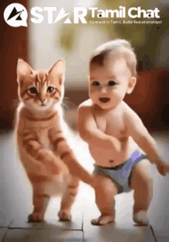 Startamilchat Sanjay Chat GIF. This 347 x 498 animated GIF is part of our dancing baby collection. Related themes include cat, cat dance, cat dancing…