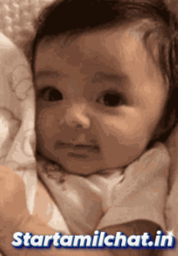 Startamilchat Sanjay Chat GIF