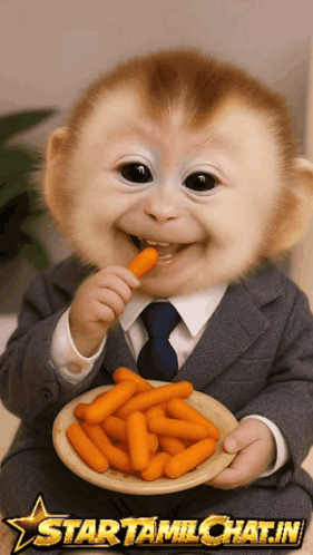 Startamilchat Sanjay Chat GIF