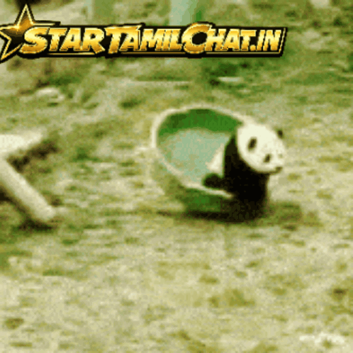 Startamilchat Tamil Chat GIF. This 498 x 498 animated GIF is part of our lustige freitags bilder collection. Related themes include funny. Created by…