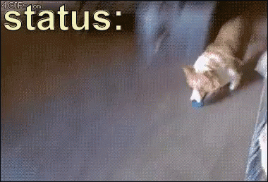 Status Morta Cansado GIF