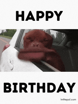 Stay Cool GIF