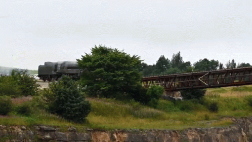 Steam Locomotive Train GIF