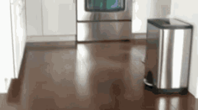 Steam Mop GIF