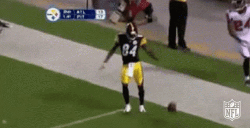 Steelers Go GIF