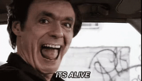 Steiner Rudolf GIF