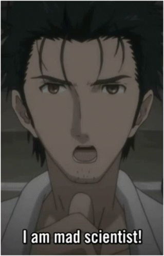 Steins GIF