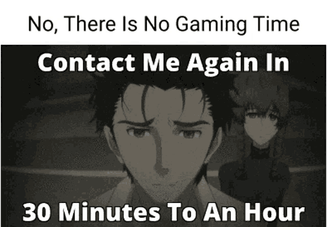 Steinsgate Gaming Time GIF
