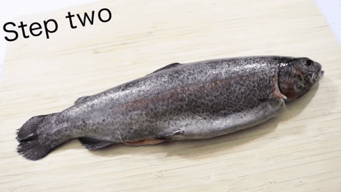 Step Two Cook The Fish Oven GIF