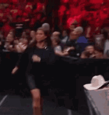 Stephanie Mcmahon Wwe GIF