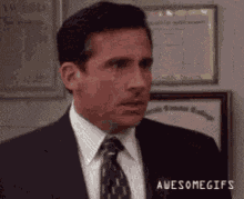 Steve Carell GIF
