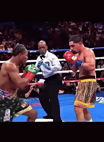 Steve Willis Boxing GIF