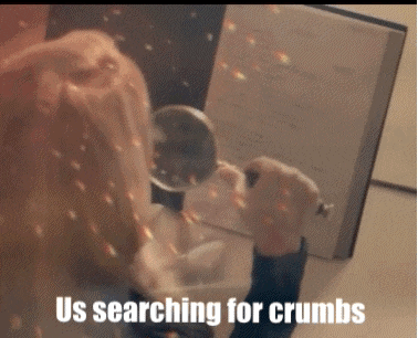Stevie Nicks Searching GIF