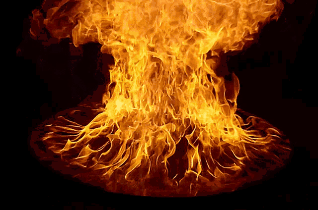 Stfu Blaze GIF