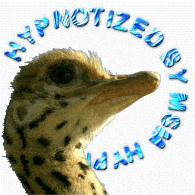 Stickers Sticker Gif GIF