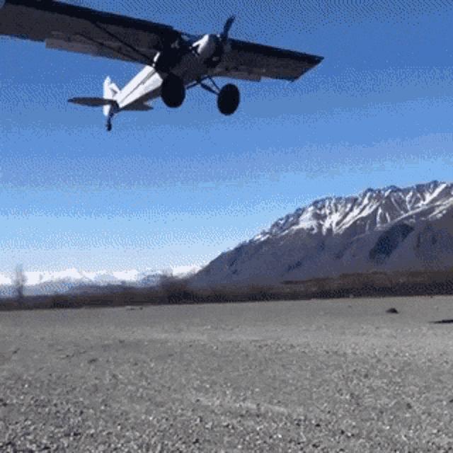 Stol GIF