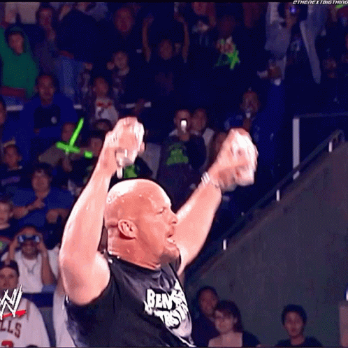 Stone Cold Steve Austin Drink Beer GIF