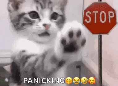 Stop Funnyanimal GIF