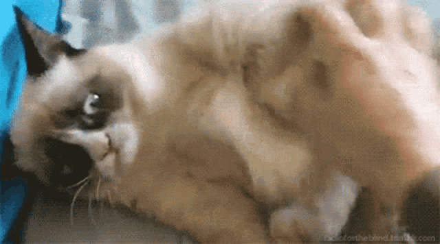 Stop Stop That GIF