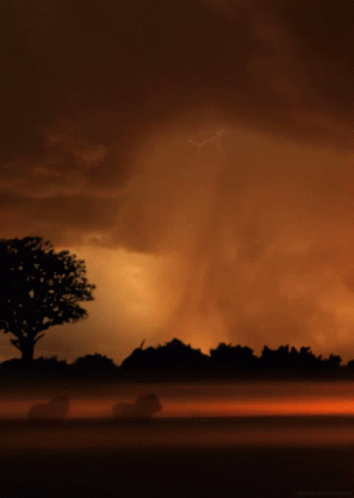 Storm Lightning GIF