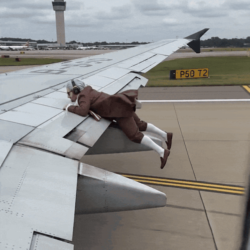 Stowaway Airplane GIF. This 498 x 498 animated GIF is part of our funny airplane collection. Related themes include airplane. Created by BenJammins. View…