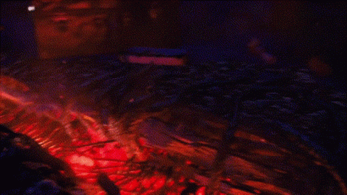 Stranger Things Jason St GIF. This 498 x 280 animated GIF is part of our the strangers prey at night collection. Related themes include stranger things…