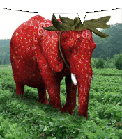 Strawberry Elephant Sticker