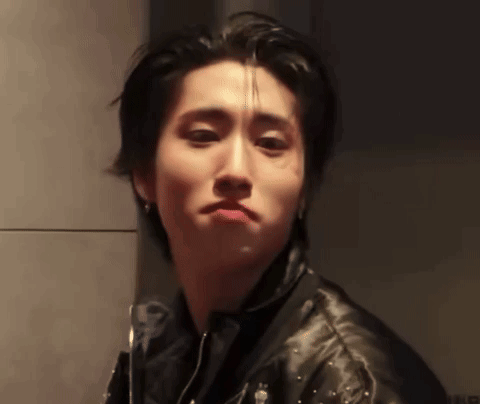 Stray Kids Han Han Ji GIF