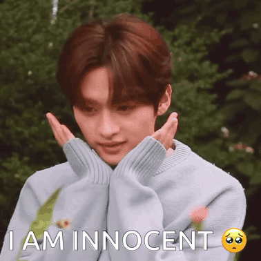 Stray Kids Innocent Skz Innocent GIF