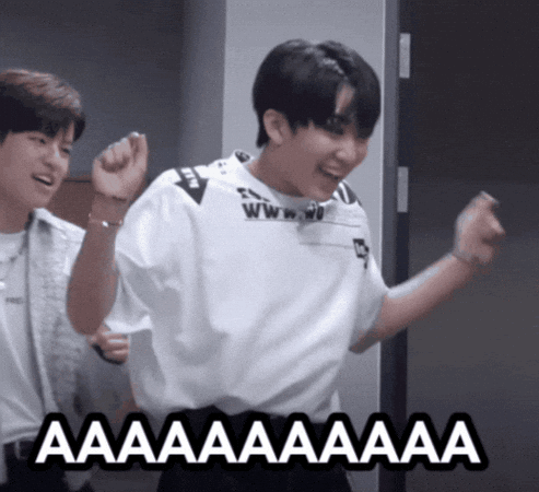 Stray Kids Skz GIF