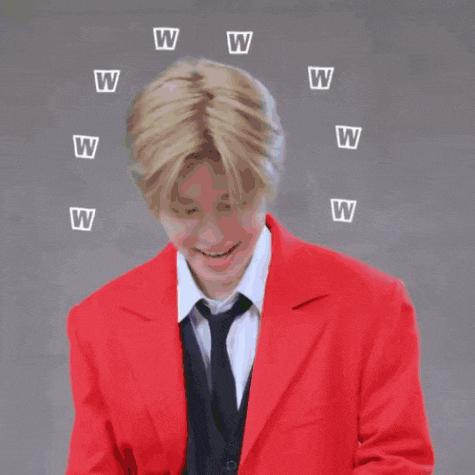 Stray Kids Skz GIF